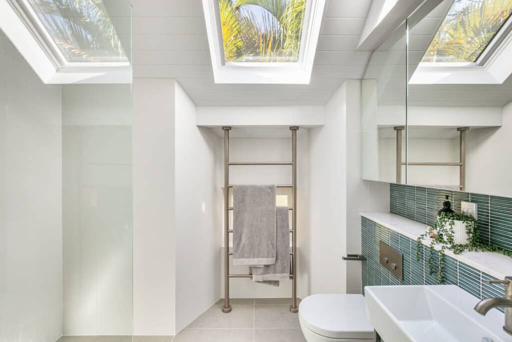 Lot 57 bathroom with skylight